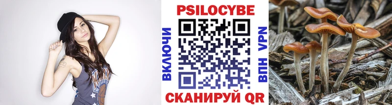 Галлюциногенные грибы Magic Shrooms Бакал